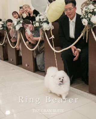 ⁡
・リングベアラー
＿＿＿＿＿＿＿＿＿＿＿＿＿＿＿＿＿＿＿＿

＼新潟県内最大級！／

上越市の結婚式場【ザ・グランスイート】
・県内最大級チャペル 地上49mの大聖堂
・リゾート感溢れるパーティ会場
・まるで海外のような特別な空間

[アクセス]
住所：新潟県上越市大道福田554番地
お電話：0120-20-6111（10:00～19:00）
定休日：火曜日

▼見学のご予約はプロフィールURLから✨
@the_gran_suite
＿＿＿＿＿＿＿＿＿＿＿＿＿＿＿＿＿＿＿＿
@minnano_wedding

.
#リングベアラー
#リングドッグ
#thegransuite
#上越結婚式場